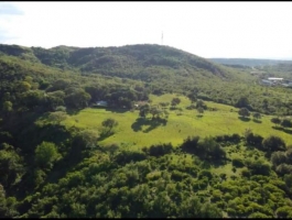 Finca Las Mesitas